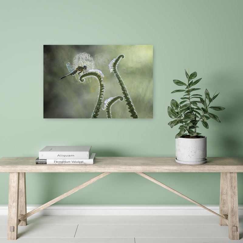 Libellule sur une courbe douce, délicate, paisible et sereine, impression d'art mural représentant une libellule, la nature et les plantes