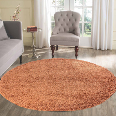 Esterly Solid Colour Shag Area Rug