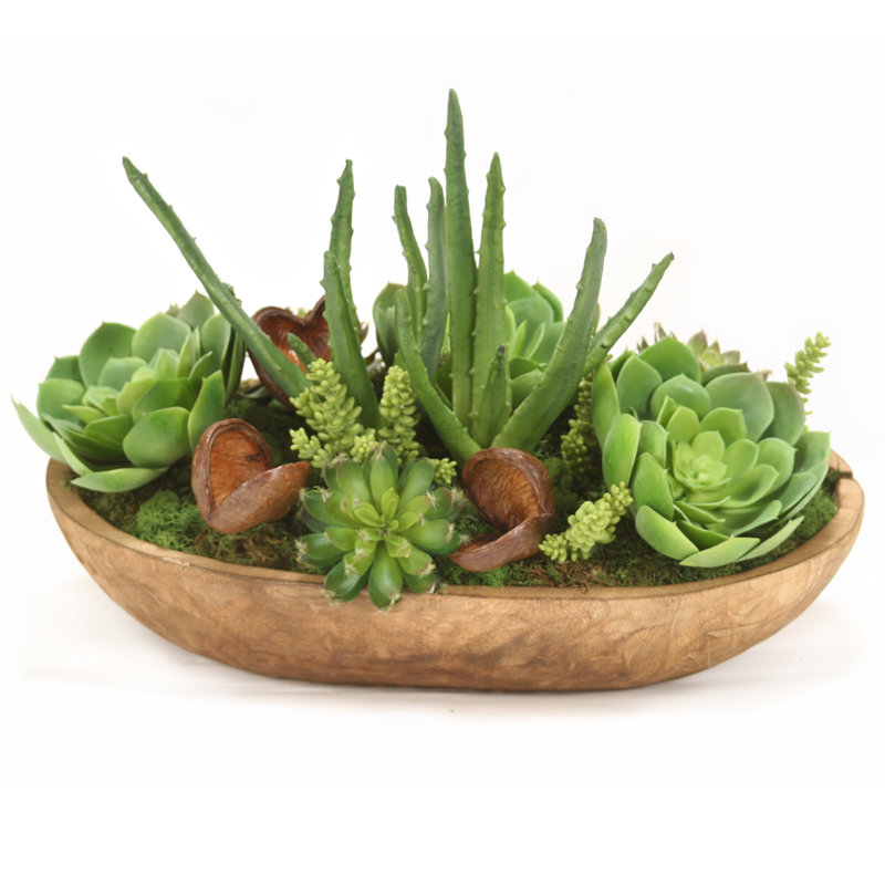 Plante grasse artificielle 16 po en pot