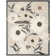 Aloha  Floral Beige Indoor/Outdoor Area Rug