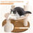 Falaq 35'' H Cat Tree
