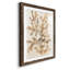 Parchment Coral I - ensemble de 3 reproductions de cadres photo-207375885-207375886