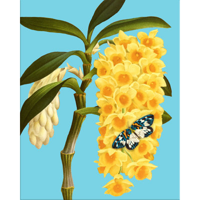 «Color Me Floral # 5» par Larry Laslo - reproduction d'art sur toile tendue