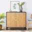 Armoires de rangement avec porte (armoire)