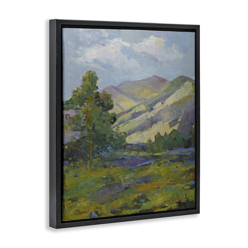  «Spring Day Mountain», art mural encadré sur toile flottante par Alexi Fine, Cadre flottant noir de jais, H 21 po x l 17 po