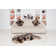 Aaleiah Sheepskin Hand Woven Area Rug