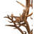 Jamius 8 - Light Steel Chandelier
