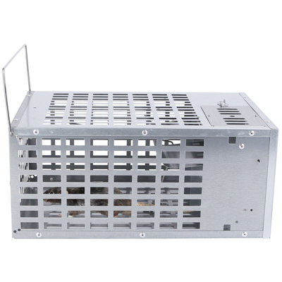 Gamliel Weather Resistant Rat Modular Habitat