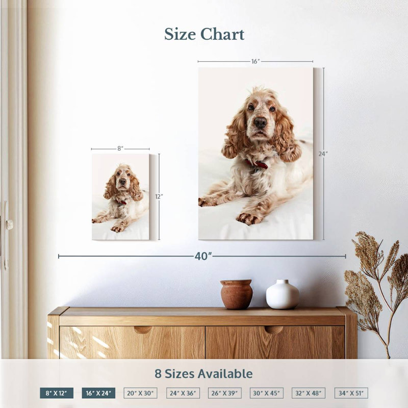 Resting Cocker Spaniel