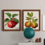Antique Fruit X - ensemble de 2 reproductions d'art sur toile-189582279-189582299