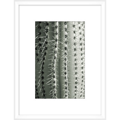 Silver Spike Small 2 Framed Photographic Print
