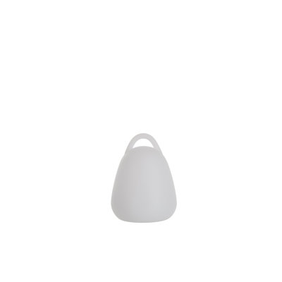 Riggleman Novelty Lamp