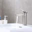 Single Hole Bathroom Faucet with Drain Assembly-39301447