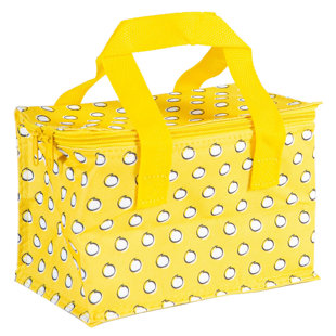 Insulated Lunch Bag