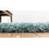 Indoor Rug