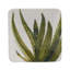 Cactus Verde Set of 4 Canape Plates 6in 4 asst.