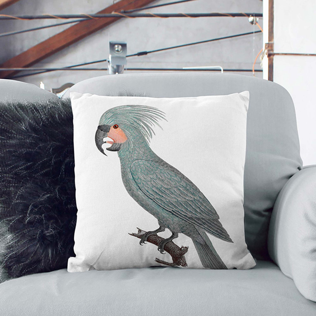 A Palm Cockatoo by F. Levaillant Cushion with Filling
