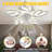 Filotia Ceiling Fan with Light Kit