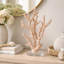 Blush Reef Coral Sculpture