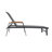 Yasmina Outdoor Metal Chaise Lounge Set-519331591-452357764