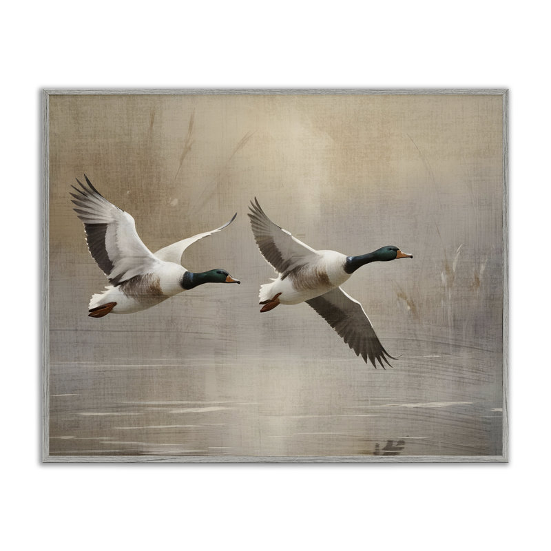 «Mallard Ducks over Pond», dessin de Susan Arnot, H 24 po x l 30 po, Giclée de ferme grise encadrée