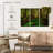 Harnek Scenic Redwood Forest-108000247