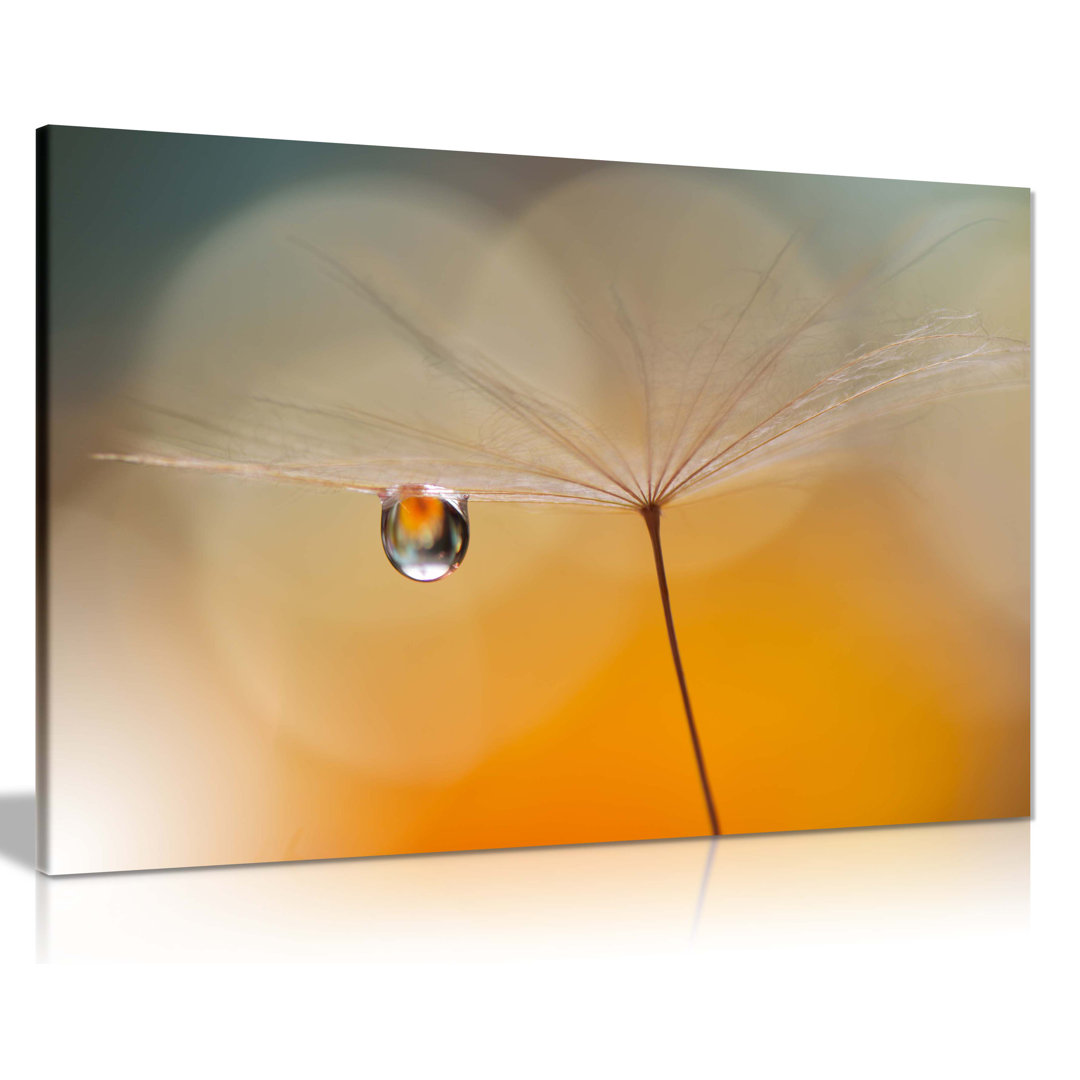 Dandelion In Orange by Not An Artist - Wrapped Canvas Print