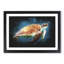 Sea Turtle In The Blue Ocean - Picture Frame Graphic Art-56876530-56876529