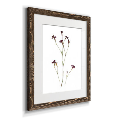 " Pressed Botanical II " Painting Print