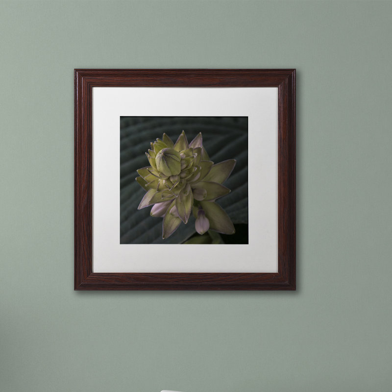 Early Hosta Flower Abstract Framed Canvas Print in Brown Wooden Frame
