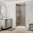 Pivot Frameless Shower Door