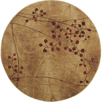 Tapis contemporain au lait Anastasia