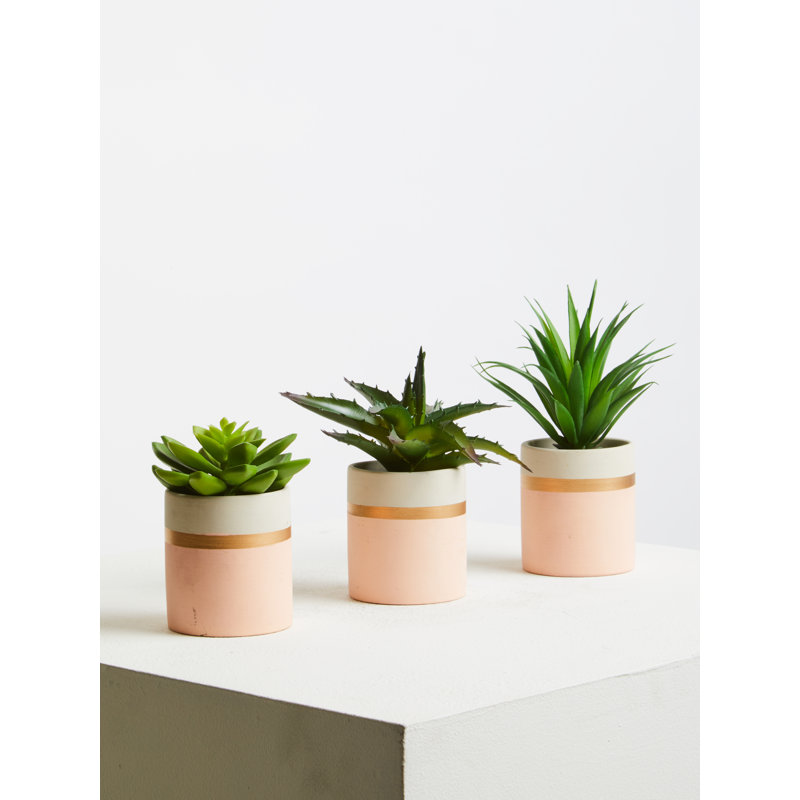 10cm Faux Succulent Plant in Ceramic Pot, Pink/White