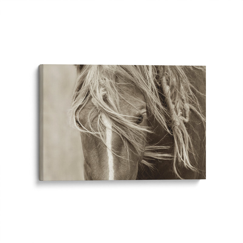 Sur toile, H 32 po x l 48 po x P 1,25 po