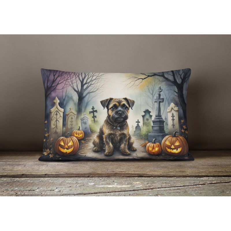 Other/No Pattern Outdoor Throw Pillow