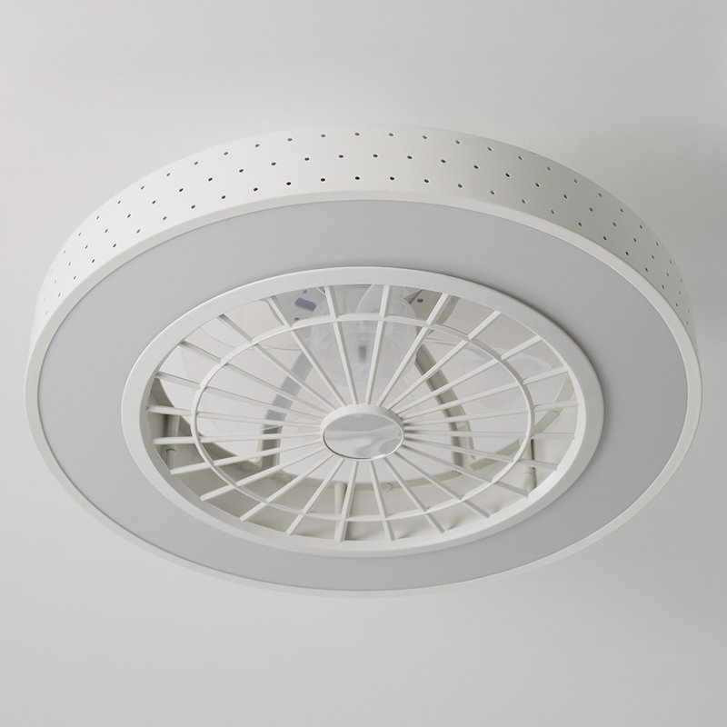 Ceiling Fan with LED Lights