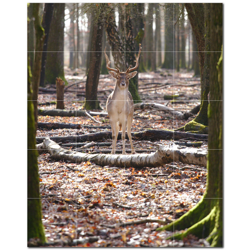 Murale décorative en céramique cerf 8 po x 8 po Deer Photo