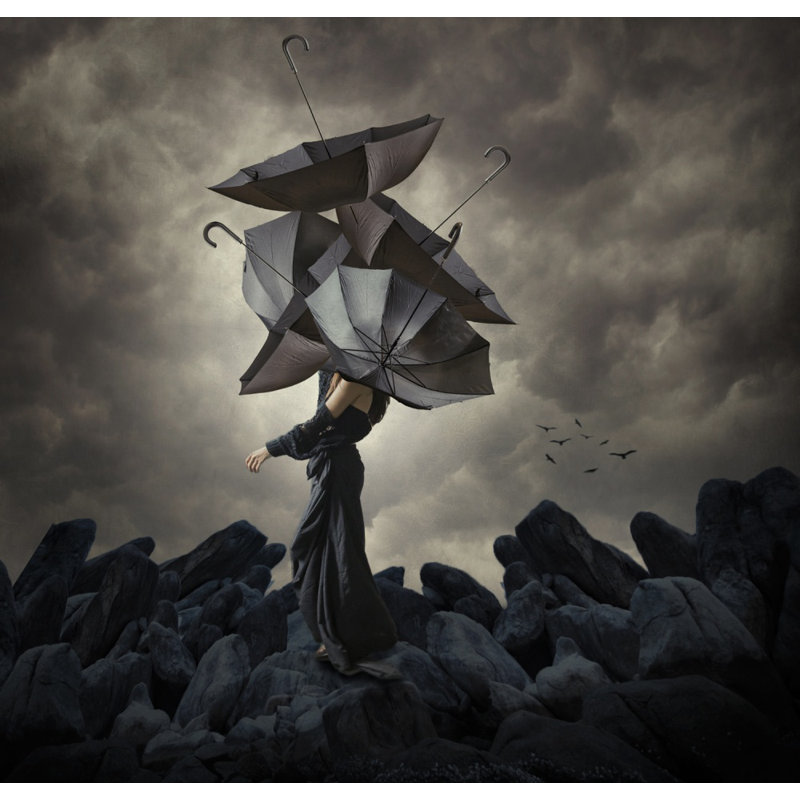 Wrapped Canvas Print, 76.2 cm H x 50.8 cm W