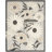 Aloha  Floral Beige Indoor/Outdoor Area Rug-386050051