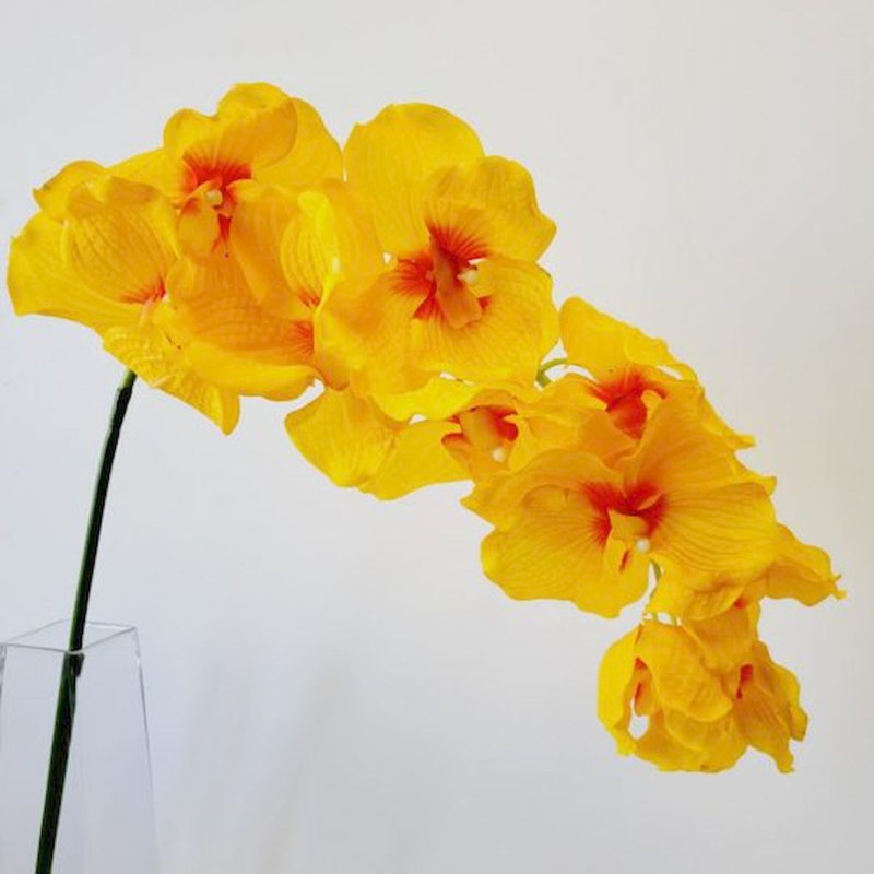 Tiges d'orchidées phalaenopsis, Jaune, H 42 po x l 7 po x P 2,5 po