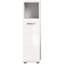 Ice Accent Cabinet