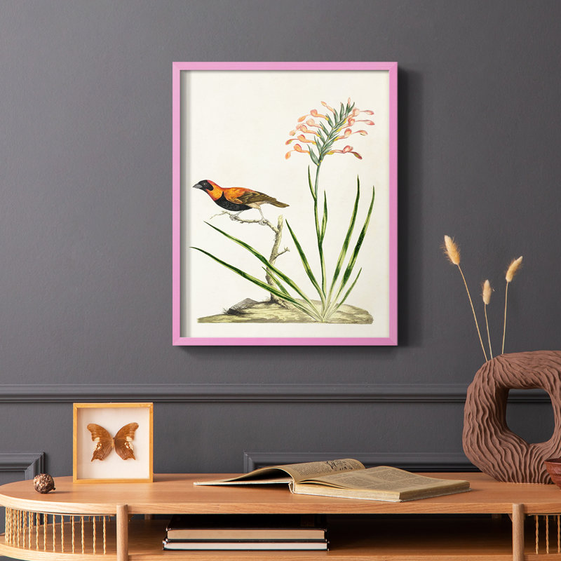 Bird in Habitat III, reproduction encadrée - bois massif, Rose, H 10 po x l 8 po