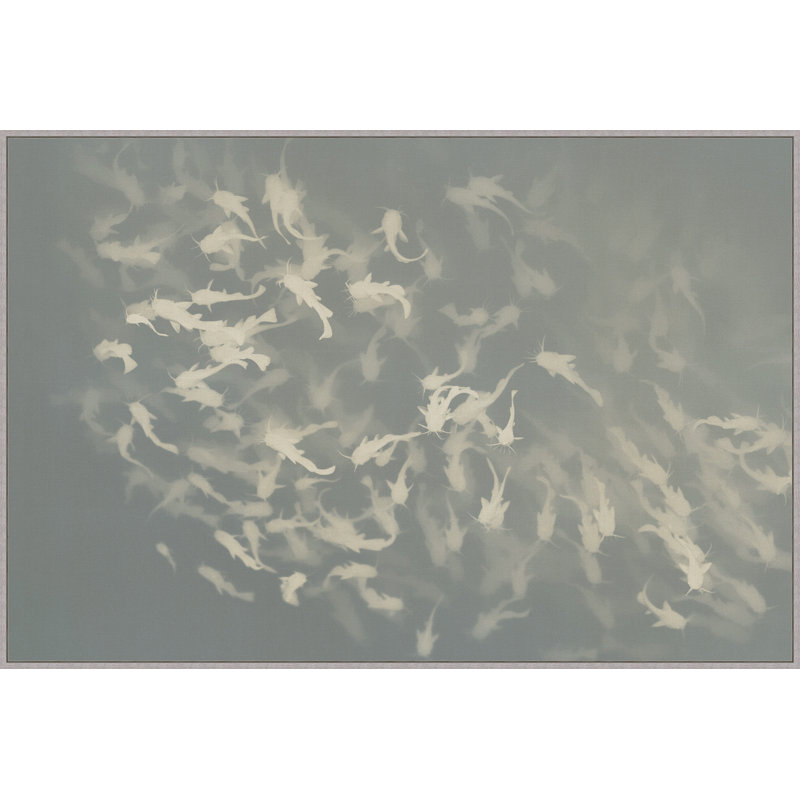 Swimming In Blue 1 Print by Thom Filicia