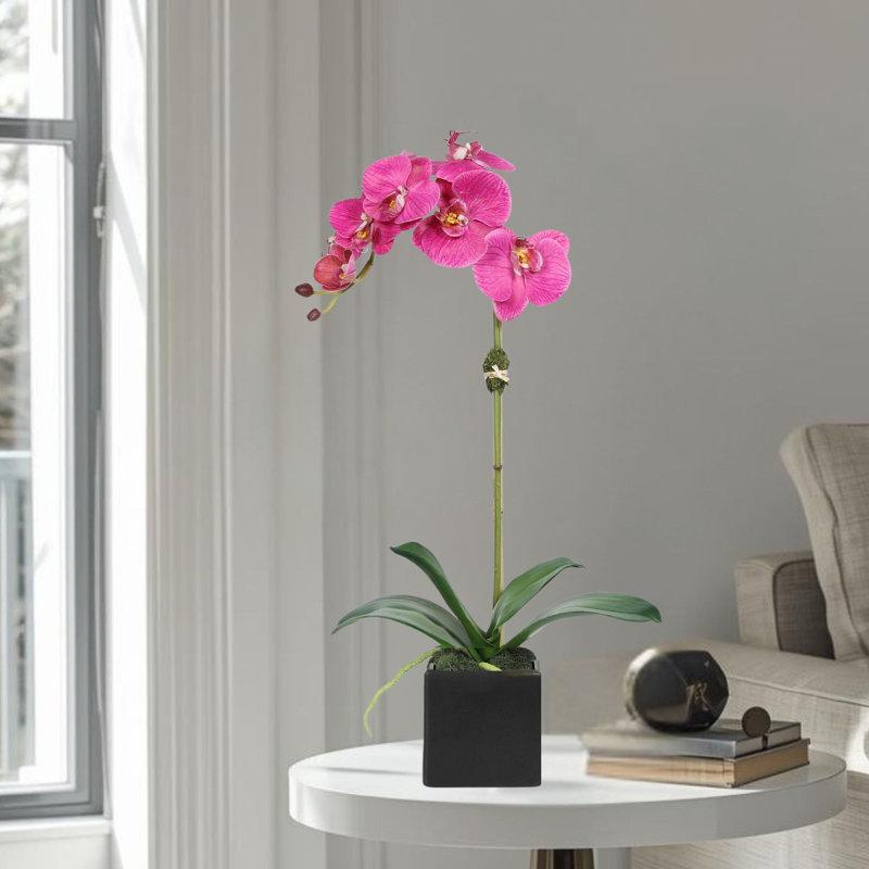 Orchid Arrangement In Vase, Black, Pink