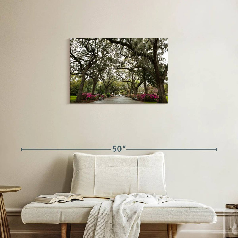Parc Sireci Forsyth, H 20 po x l 30 po