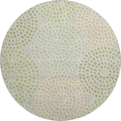 Premium Machine Washable Prisco Aloe Rug