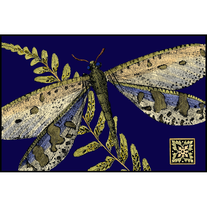 Mini Shimmering Dragonfly III (ZHC) by Vision Studio - Wrapped Canvas Painting, 30cm H x 46cm W