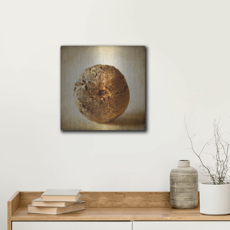 «Oak Pods 5» par Jessica Rogers, H 12 po x l 12 po