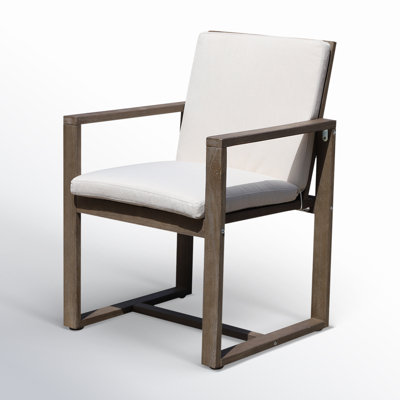 Harbor Acacia Patio Dining Armchair with Cushion by AllModern