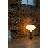 Knuckle Table Lamp In Walnut + Oval-121494669